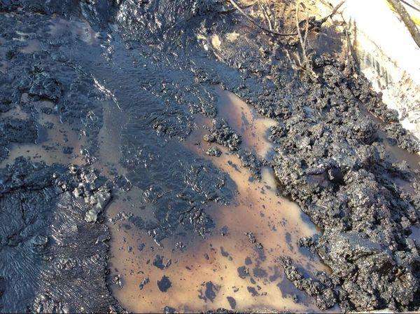 城市污水處理廠脫水污泥的焚燒處置